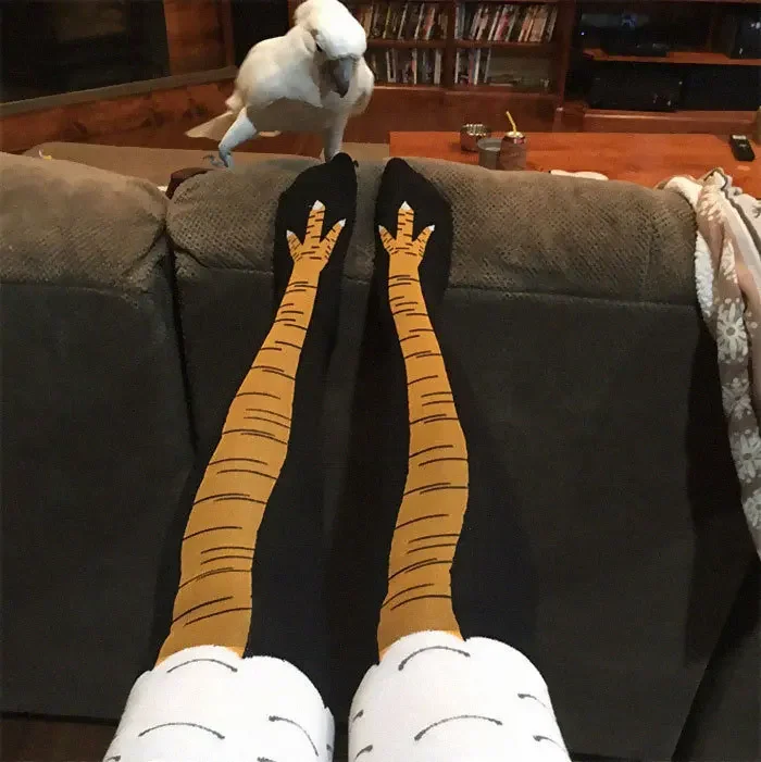 Kaus kaki cakar ayam lucu 3D 4 - Funny Chicken Leg Socks ulasan dan harga
